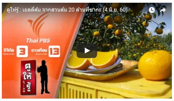 タイ国のテレビ局Thai-PBSにて紹介