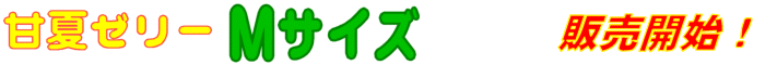 甘夏ゼリーMサイズ販売開始
