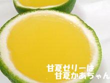 呼子甘夏ゼリー