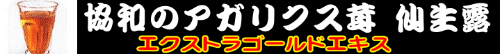 �A�K���N�X�G�L�X