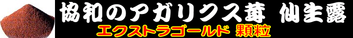 �A�K���N�X����