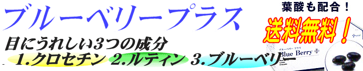 ブルーベリーサプリを選ぶ