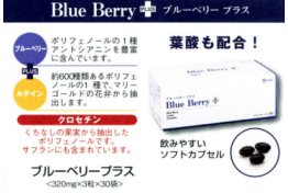 ブルーベリープラス