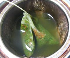 �}�{�p�������茺�Ē��e�B�[�o�b�O�e�g���^�C�v