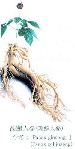 ����l�Q�i���N�l�Q�j�E����g��