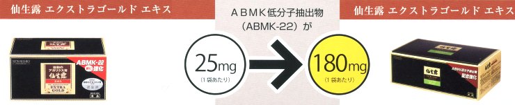 �吶�I�S�[���h�G�L�X�V����